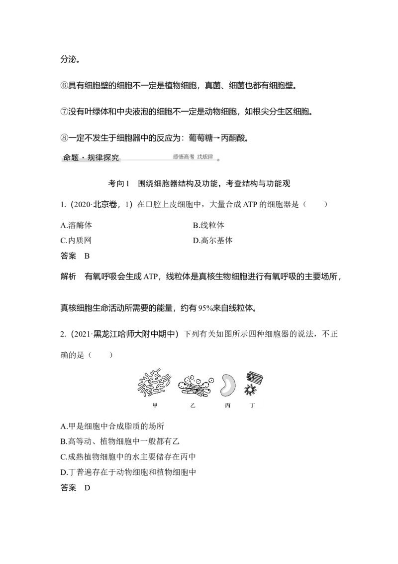 第5讲细胞器与生物膜系统_通用版（老高考）复习资料_2023年复习资料_一轮复习_2023年高考生物一轮复习讲义+课件（全国版）_2023年高考生物一轮复习讲义（全国版）_赠补充习题
