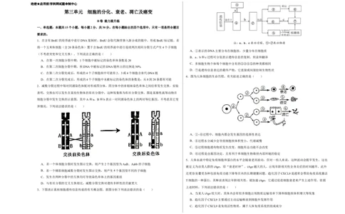 第三单元细胞的分化、衰老、凋亡及癌变（B卷能力提升练）-2022年高考生物一轮复习单元滚动双测卷（考试版）_新高考复习资料_2023年新高考复习资料_一轮复习