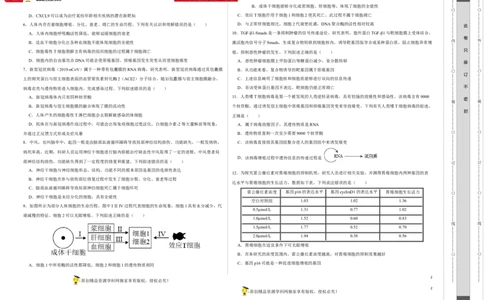 第三单元细胞的分化、衰老、凋亡及癌变（B卷能力提升练）-2022年高考生物一轮复习单元滚动双测卷（考试版）_新高考复习资料_2023年新高考复习资料_一轮复习
