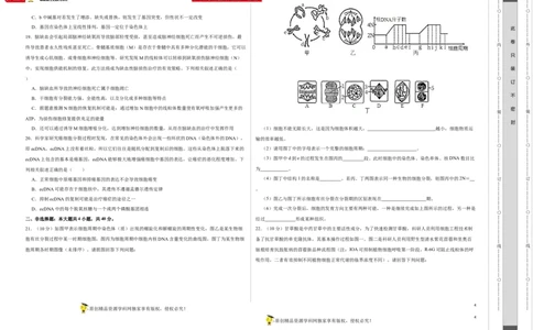 第三单元细胞的分化、衰老、凋亡及癌变（B卷能力提升练）-2022年高考生物一轮复习单元滚动双测卷（考试版）_新高考复习资料_2023年新高考复习资料_一轮复习
