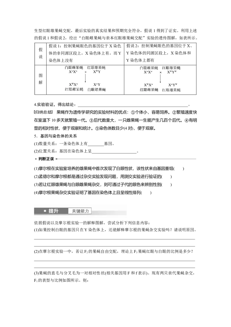 第五单元　第27课时　基因在染色体上_2025年新高考资料_一轮复习_2025大一轮复习讲义+课件（完结）_2025大一轮复习讲义生物学生用书Word版文档整书_2025大一轮复习讲义