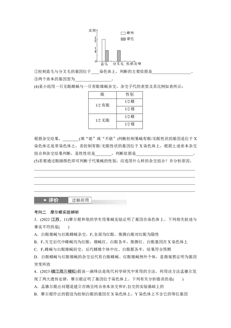 第五单元　第27课时　基因在染色体上_2025年新高考资料_一轮复习_2025大一轮复习讲义+课件（完结）_2025大一轮复习讲义生物学生用书Word版文档整书_2025大一轮复习讲义