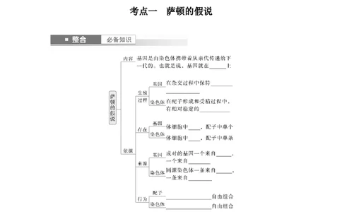 第五单元　第27课时　基因在染色体上_2025年新高考资料_一轮复习_2025大一轮复习讲义+课件（完结）_2025大一轮复习讲义生物学生用书Word版文档整书_2025大一轮复习讲义
