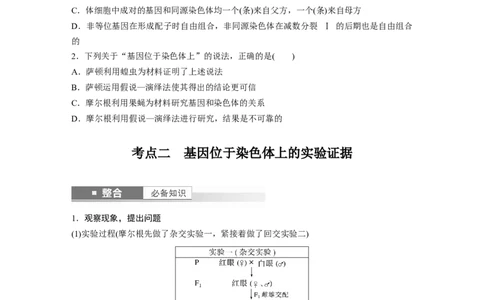 第五单元　第27课时　基因在染色体上_2025年新高考资料_一轮复习_2025大一轮复习讲义+课件（完结）_2025大一轮复习讲义生物学生用书Word版文档整书_2025大一轮复习讲义