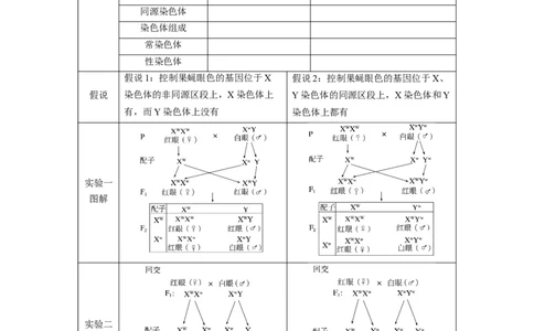 第五单元　第27课时　基因在染色体上_2025年新高考资料_一轮复习_2025大一轮复习讲义+课件（完结）_2025大一轮复习讲义生物学生用书Word版文档整书_2025大一轮复习讲义