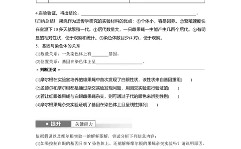 第五单元　第27课时　基因在染色体上_2025年新高考资料_一轮复习_2025大一轮复习讲义+课件（完结）_2025大一轮复习讲义生物学生用书Word版文档整书_2025大一轮复习讲义