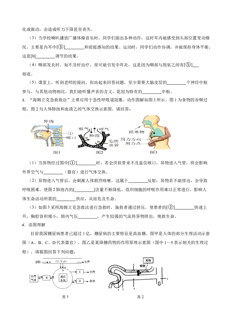 2024年中考生物读图理解专题复习：人体生命活动的调节（含答案）_6生物中考复习_2024年中考复习资料_二轮复习_备考2024中考生物二轮复习读图理解精练