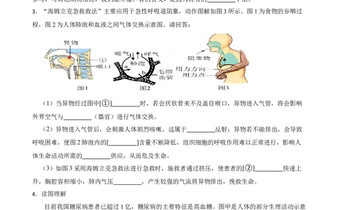 2024年中考生物读图理解专题复习：人体生命活动的调节（含答案）_6生物中考复习_2024年中考复习资料_二轮复习_备考2024中考生物二轮复习读图理解精练