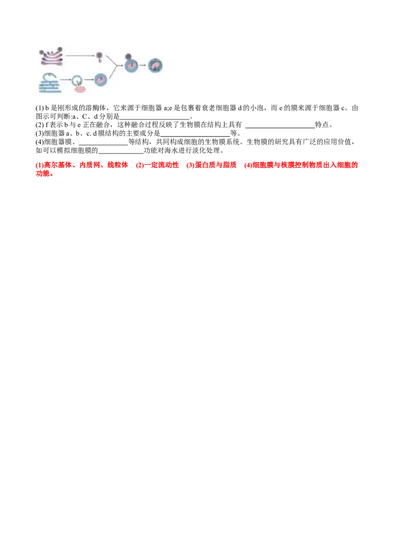 第三章细胞的基本结构-查漏补缺2023年高考生物一轮复习教材必背细节与旁栏思考梳理汇总（新教材）（带答案）_新高考复习资料_2023年新高考复习资料_一轮复习