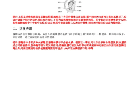 第三章细胞的基本结构-查漏补缺2023年高考生物一轮复习教材必背细节与旁栏思考梳理汇总（新教材）（带答案）_新高考复习资料_2023年新高考复习资料_一轮复习