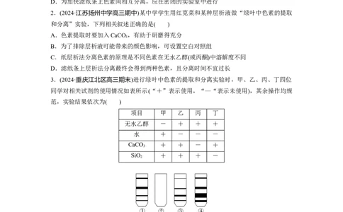 第三单元　课时练15捕获光能的色素和结构及光合作用原理的探索_2025年新高考资料_一轮复习_2025大一轮复习讲义+课件（完结）_2025大一轮复习讲义生物学生用书Word版文档整书