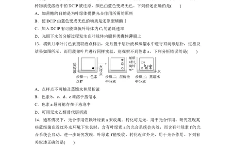第三单元　课时练15捕获光能的色素和结构及光合作用原理的探索_2025年新高考资料_一轮复习_2025大一轮复习讲义+课件（完结）_2025大一轮复习讲义生物学生用书Word版文档整书