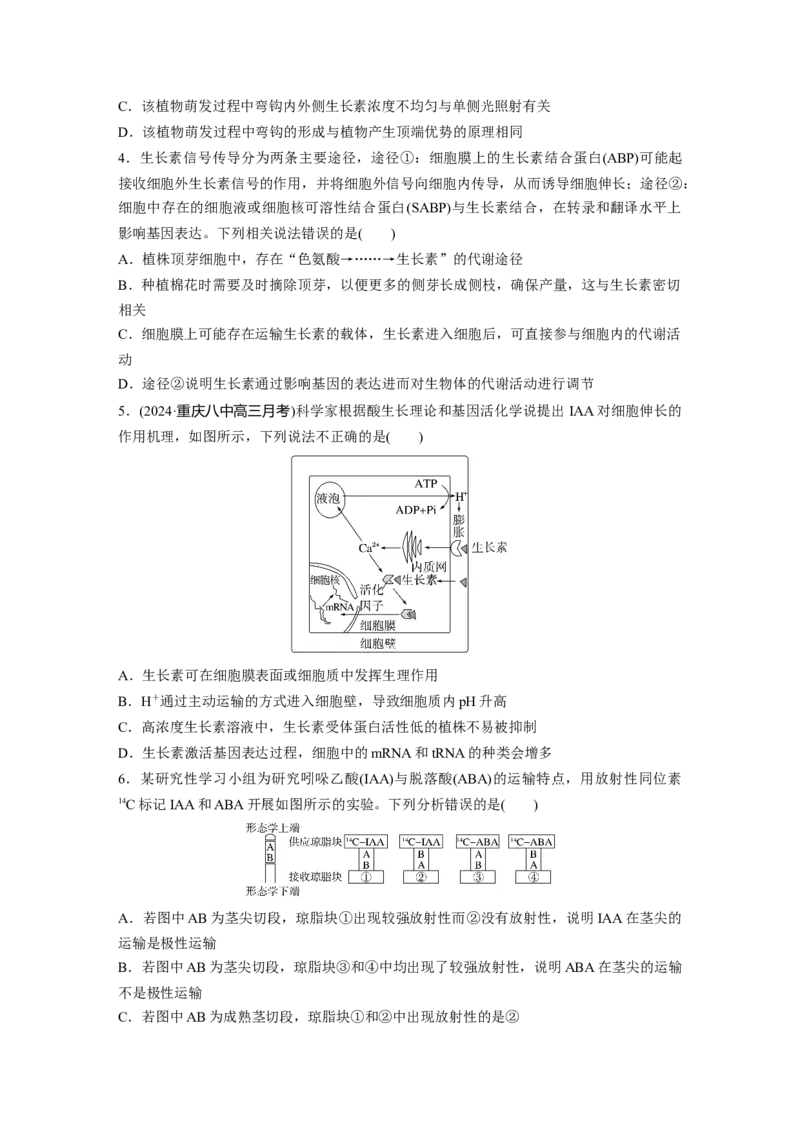 第八单元　课时练44　植物生长素_2025年新高考资料_一轮复习_2025大一轮复习讲义+课件（完结）_2025大一轮复习讲义生物学生用书Word版文档整书_2025一轮复习73练