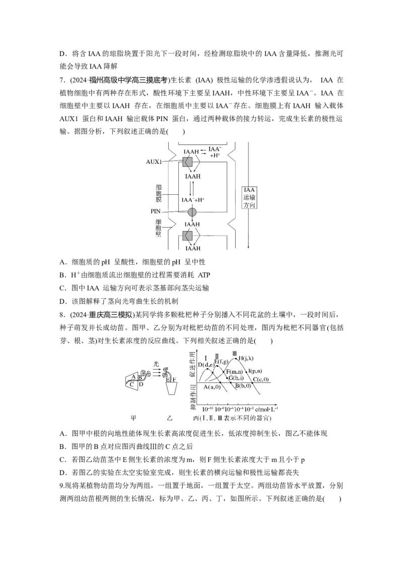 第八单元　课时练44　植物生长素_2025年新高考资料_一轮复习_2025大一轮复习讲义+课件（完结）_2025大一轮复习讲义生物学生用书Word版文档整书_2025一轮复习73练