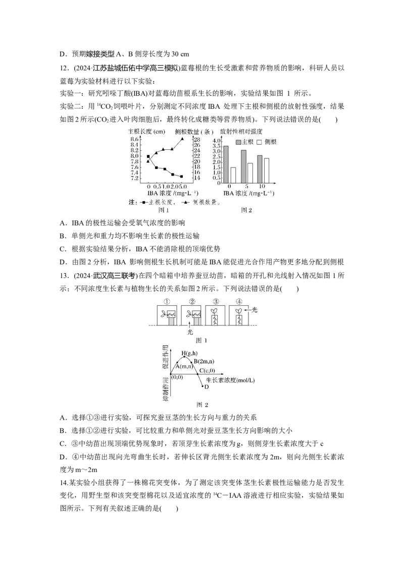 第八单元　课时练44　植物生长素_2025年新高考资料_一轮复习_2025大一轮复习讲义+课件（完结）_2025大一轮复习讲义生物学生用书Word版文档整书_2025一轮复习73练