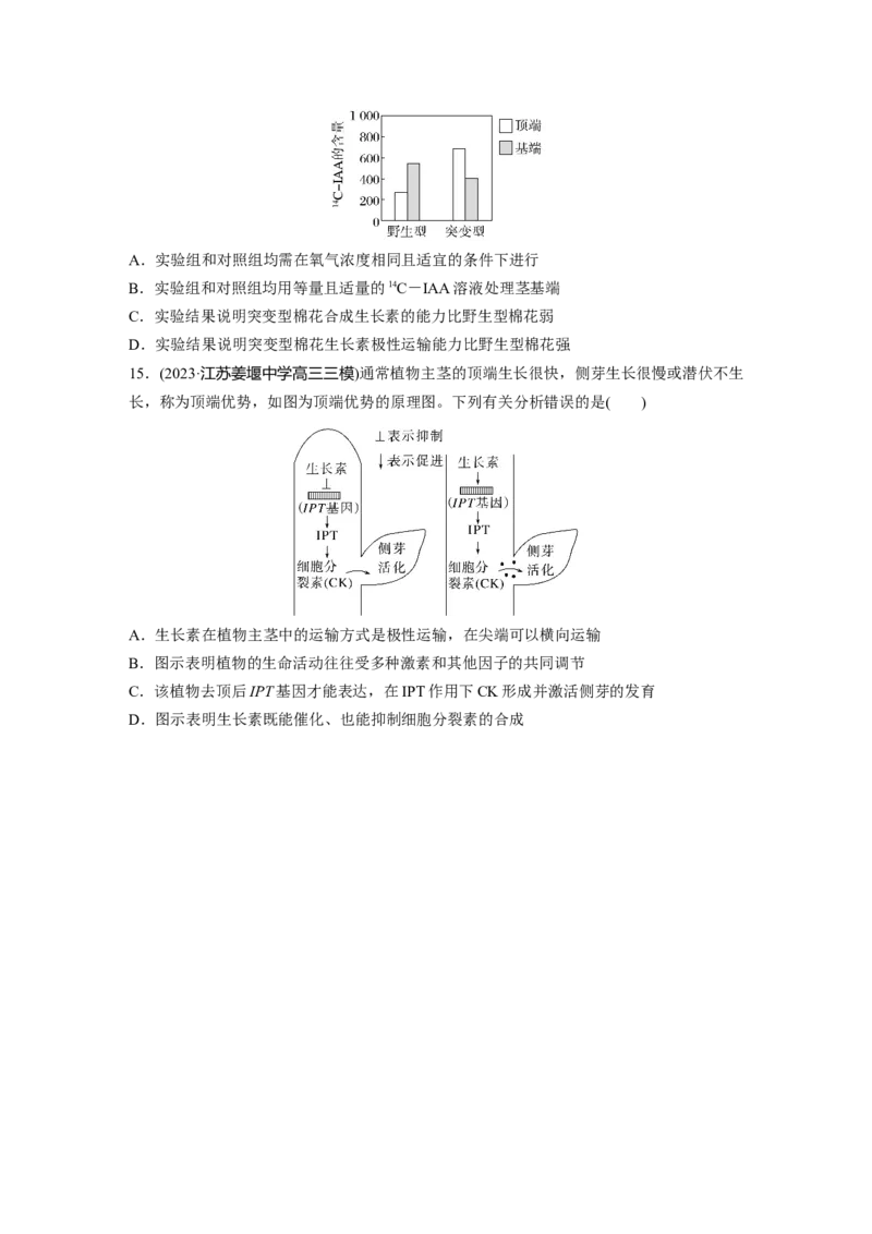 第八单元　课时练44　植物生长素_2025年新高考资料_一轮复习_2025大一轮复习讲义+课件（完结）_2025大一轮复习讲义生物学生用书Word版文档整书_2025一轮复习73练