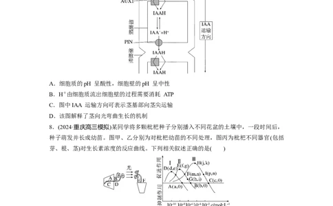第八单元　课时练44　植物生长素_2025年新高考资料_一轮复习_2025大一轮复习讲义+课件（完结）_2025大一轮复习讲义生物学生用书Word版文档整书_2025一轮复习73练