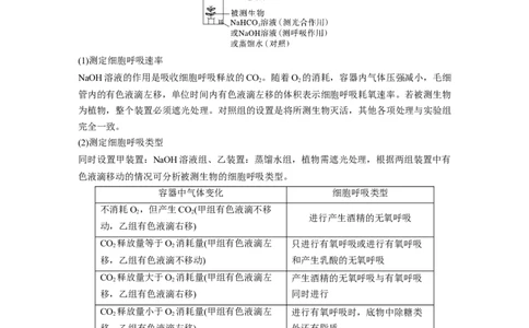 第一篇专题二考点五　光合作用与细胞呼吸速率的测定与分析_通用版（老高考）复习资料_2023年复习资料_二轮复习_2023年高考生物二轮复习讲义+课件（全国版）_学生版_第一篇专题突破