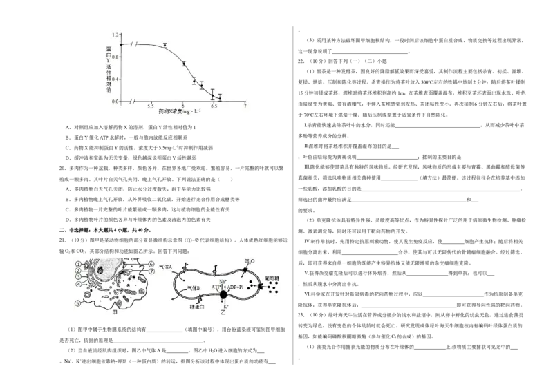 第二单元光合作用和细胞呼吸的综合（A卷新题基础练）-2022年高考生物一轮复习单元滚动双测卷（考试版）_新高考复习资料_2023年新高考复习资料_一轮复习