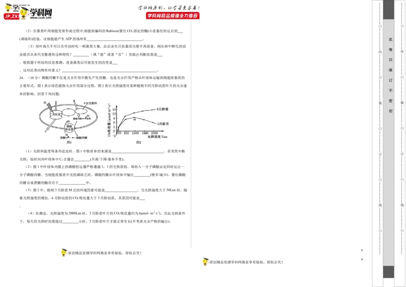 第二单元光合作用和细胞呼吸的综合（A卷新题基础练）-2022年高考生物一轮复习单元滚动双测卷（考试版）_新高考复习资料_2023年新高考复习资料_一轮复习