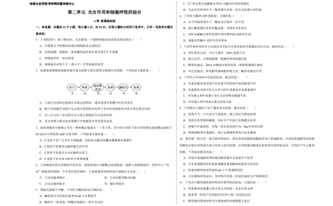 第二单元光合作用和细胞呼吸的综合（A卷新题基础练）-2022年高考生物一轮复习单元滚动双测卷（考试版）_新高考复习资料_2023年新高考复习资料_一轮复习