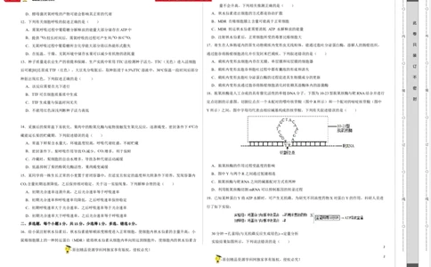 第二单元光合作用和细胞呼吸的综合（A卷新题基础练）-2022年高考生物一轮复习单元滚动双测卷（考试版）_新高考复习资料_2023年新高考复习资料_一轮复习