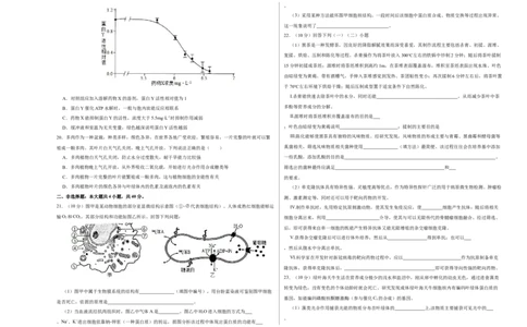 第二单元光合作用和细胞呼吸的综合（A卷新题基础练）-2022年高考生物一轮复习单元滚动双测卷（考试版）_新高考复习资料_2023年新高考复习资料_一轮复习