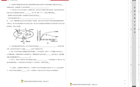第二单元光合作用和细胞呼吸的综合（A卷新题基础练）-2022年高考生物一轮复习单元滚动双测卷（考试版）_新高考复习资料_2023年新高考复习资料_一轮复习