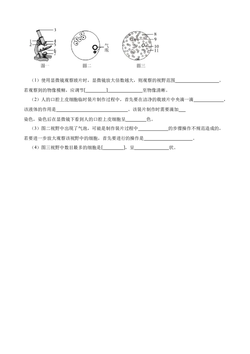 2024年中考生物专题复习：实验探究题训练（含答案）_6生物中考复习_2024年中考复习资料_二轮复习_备考2024中考生物二轮复习题型突破专练