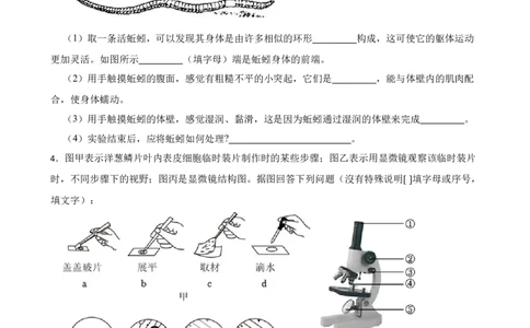 2024年中考生物专题复习：实验探究题训练（含答案）_6生物中考复习_2024年中考复习资料_二轮复习_备考2024中考生物二轮复习题型突破专练