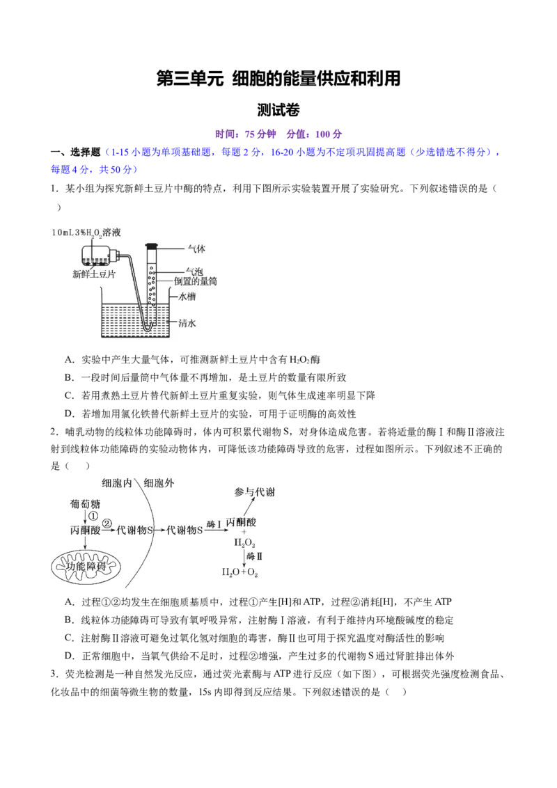 第三单元细胞的能量供应和利用（测试）（原卷版）_2025年新高考资料_一轮复习_2025年高考生物一轮复习讲练测（新教材新高考）