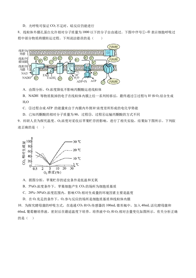 第三单元细胞的能量供应和利用（测试）（原卷版）_2025年新高考资料_一轮复习_2025年高考生物一轮复习讲练测（新教材新高考）