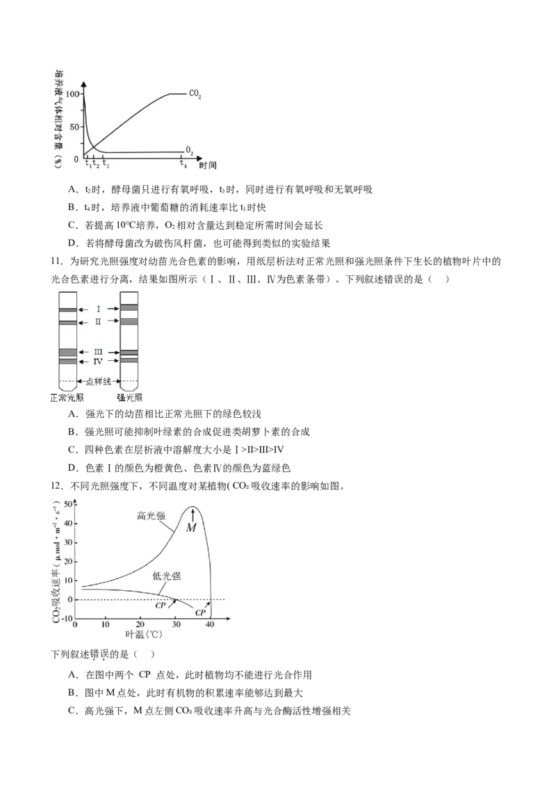 第三单元细胞的能量供应和利用（测试）（原卷版）_2025年新高考资料_一轮复习_2025年高考生物一轮复习讲练测（新教材新高考）