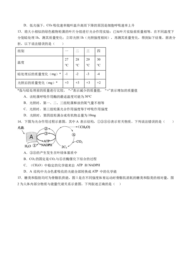 第三单元细胞的能量供应和利用（测试）（原卷版）_2025年新高考资料_一轮复习_2025年高考生物一轮复习讲练测（新教材新高考）