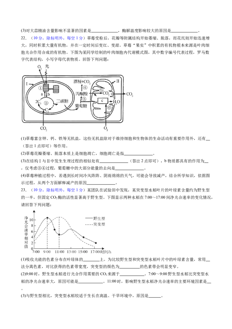 第三单元细胞的能量供应和利用（测试）（原卷版）_2025年新高考资料_一轮复习_2025年高考生物一轮复习讲练测（新教材新高考）