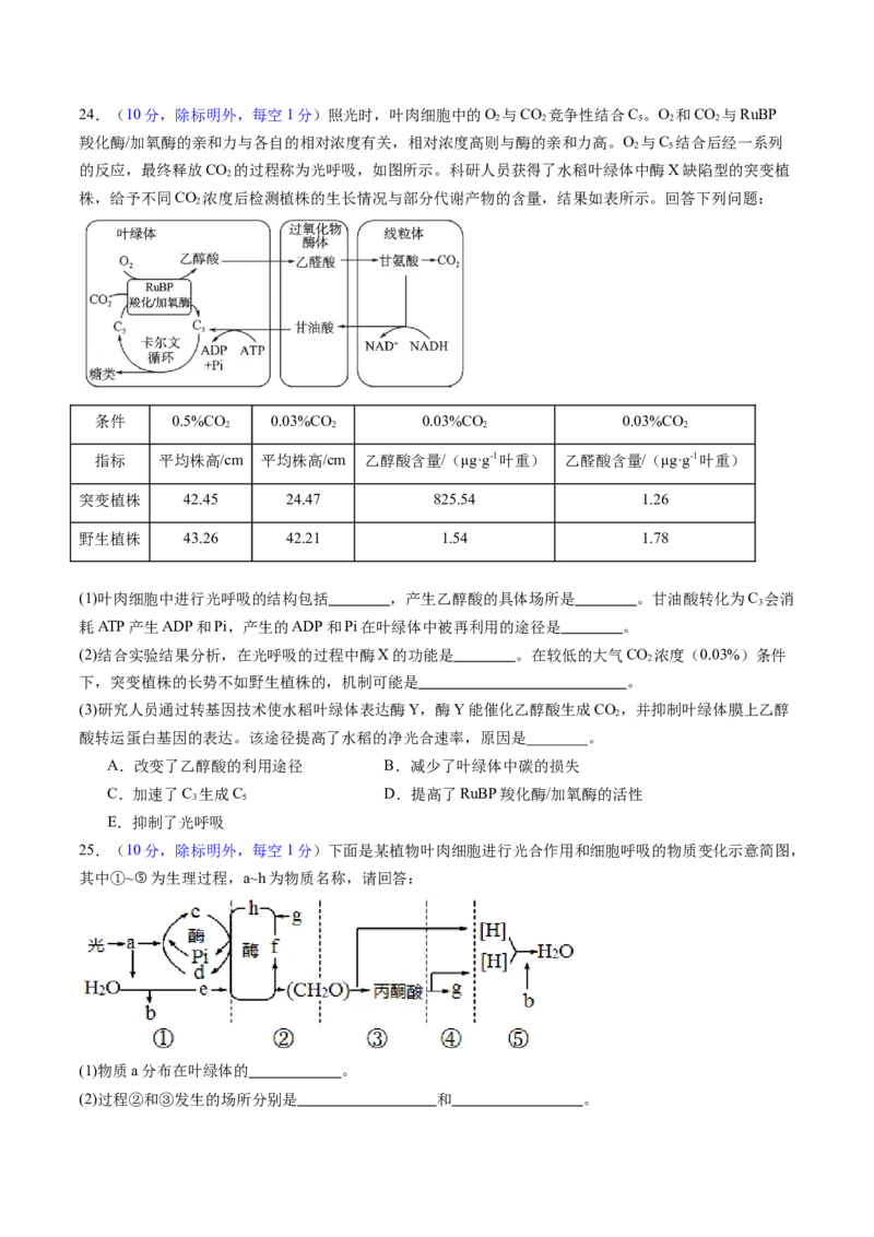 第三单元细胞的能量供应和利用（测试）（原卷版）_2025年新高考资料_一轮复习_2025年高考生物一轮复习讲练测（新教材新高考）