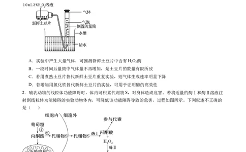 第三单元细胞的能量供应和利用（测试）（原卷版）_2025年新高考资料_一轮复习_2025年高考生物一轮复习讲练测（新教材新高考）