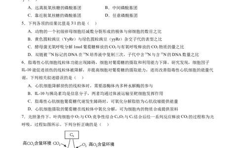 第三单元细胞的能量供应和利用（测试）（原卷版）_2025年新高考资料_一轮复习_2025年高考生物一轮复习讲练测（新教材新高考）