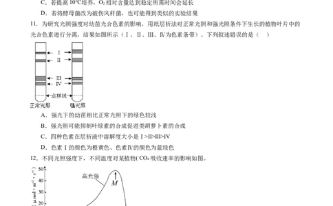 第三单元细胞的能量供应和利用（测试）（原卷版）_2025年新高考资料_一轮复习_2025年高考生物一轮复习讲练测（新教材新高考）
