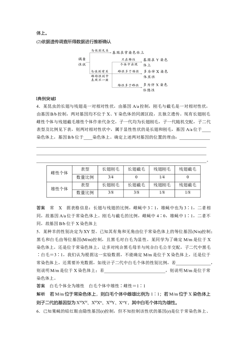 第五单元　专题突破8　基因在性染色体上的位置判断_2025年新高考资料_一轮复习_2025大一轮复习讲义+课件（完结）_2025大一轮复习讲义生物教师用书Word版文档整书