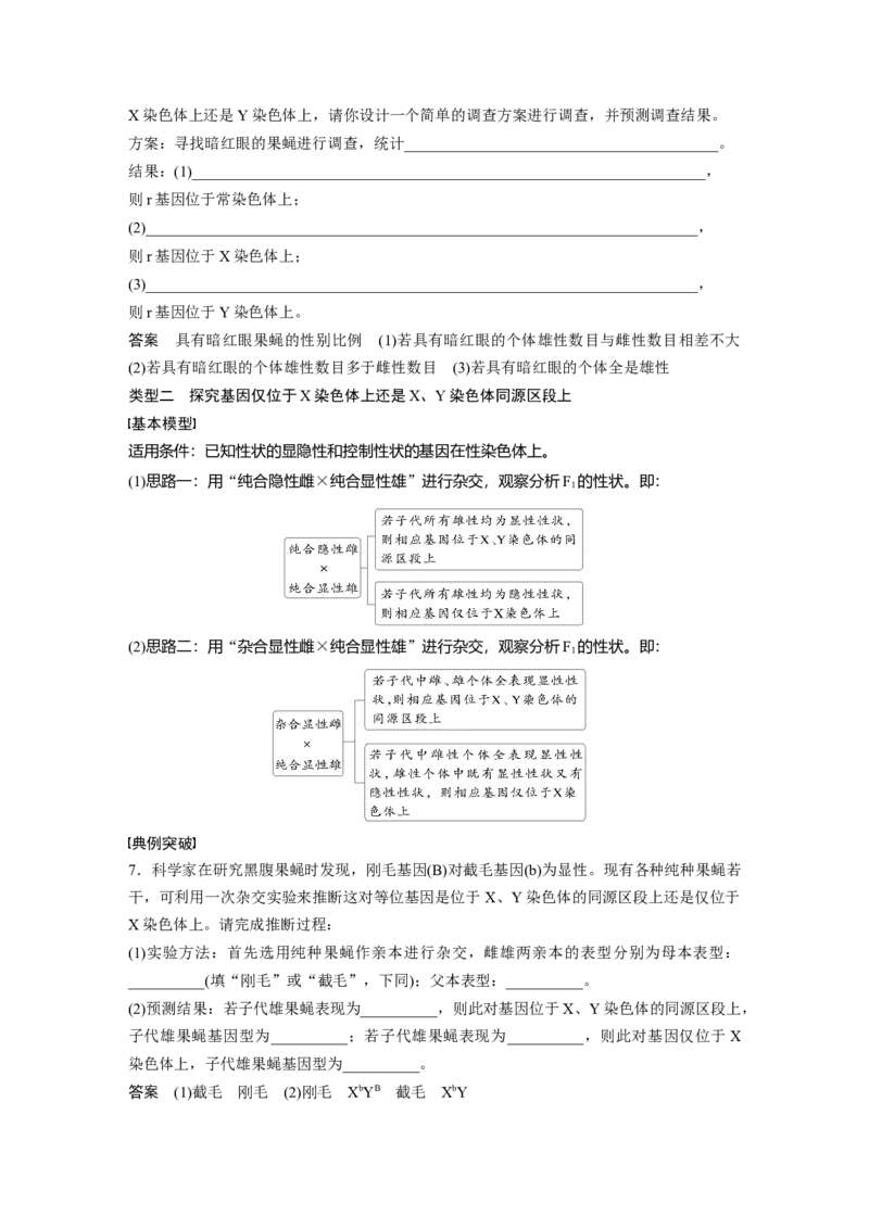 第五单元　专题突破8　基因在性染色体上的位置判断_2025年新高考资料_一轮复习_2025大一轮复习讲义+课件（完结）_2025大一轮复习讲义生物教师用书Word版文档整书