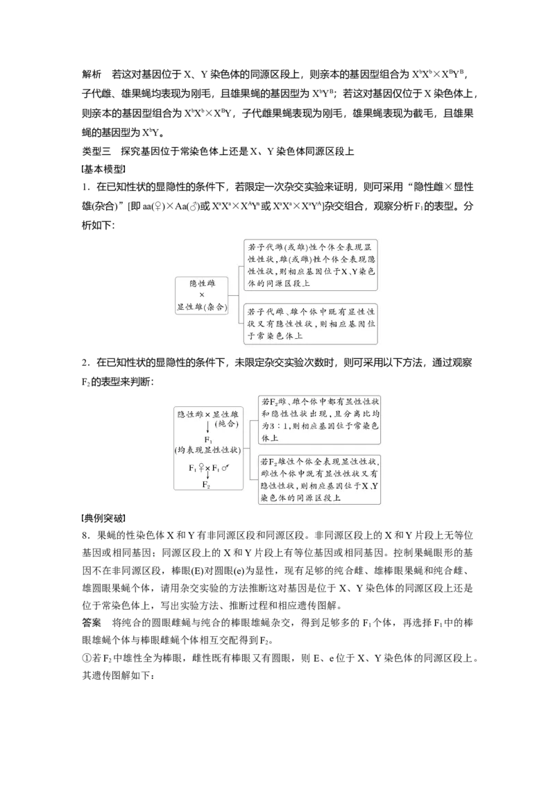 第五单元　专题突破8　基因在性染色体上的位置判断_2025年新高考资料_一轮复习_2025大一轮复习讲义+课件（完结）_2025大一轮复习讲义生物教师用书Word版文档整书