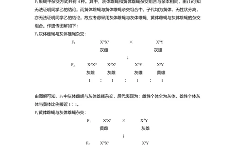 第五单元　专题突破8　基因在性染色体上的位置判断_2025年新高考资料_一轮复习_2025大一轮复习讲义+课件（完结）_2025大一轮复习讲义生物教师用书Word版文档整书