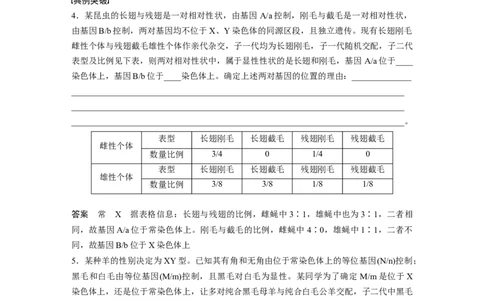 第五单元　专题突破8　基因在性染色体上的位置判断_2025年新高考资料_一轮复习_2025大一轮复习讲义+课件（完结）_2025大一轮复习讲义生物教师用书Word版文档整书