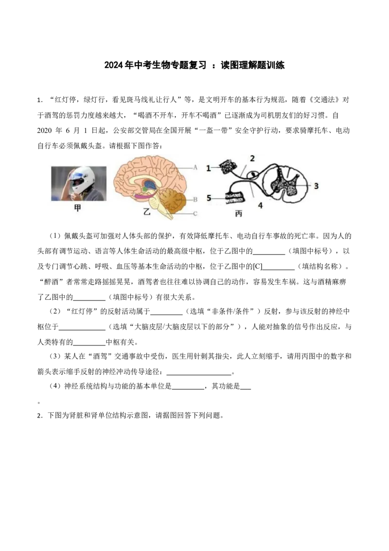 2024年中考生物专题复习：读图理解题训练（含答案）_6生物中考复习_2024年中考复习资料_二轮复习_备考2024中考生物二轮复习题型突破专练