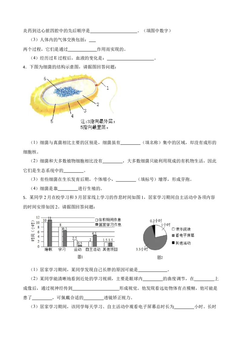 2024年中考生物专题复习：读图理解题训练（含答案）_6生物中考复习_2024年中考复习资料_二轮复习_备考2024中考生物二轮复习题型突破专练