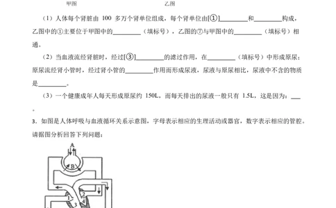 2024年中考生物专题复习：读图理解题训练（含答案）_6生物中考复习_2024年中考复习资料_二轮复习_备考2024中考生物二轮复习题型突破专练