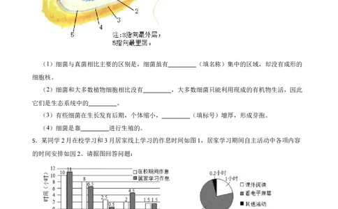 2024年中考生物专题复习：读图理解题训练（含答案）_6生物中考复习_2024年中考复习资料_二轮复习_备考2024中考生物二轮复习题型突破专练