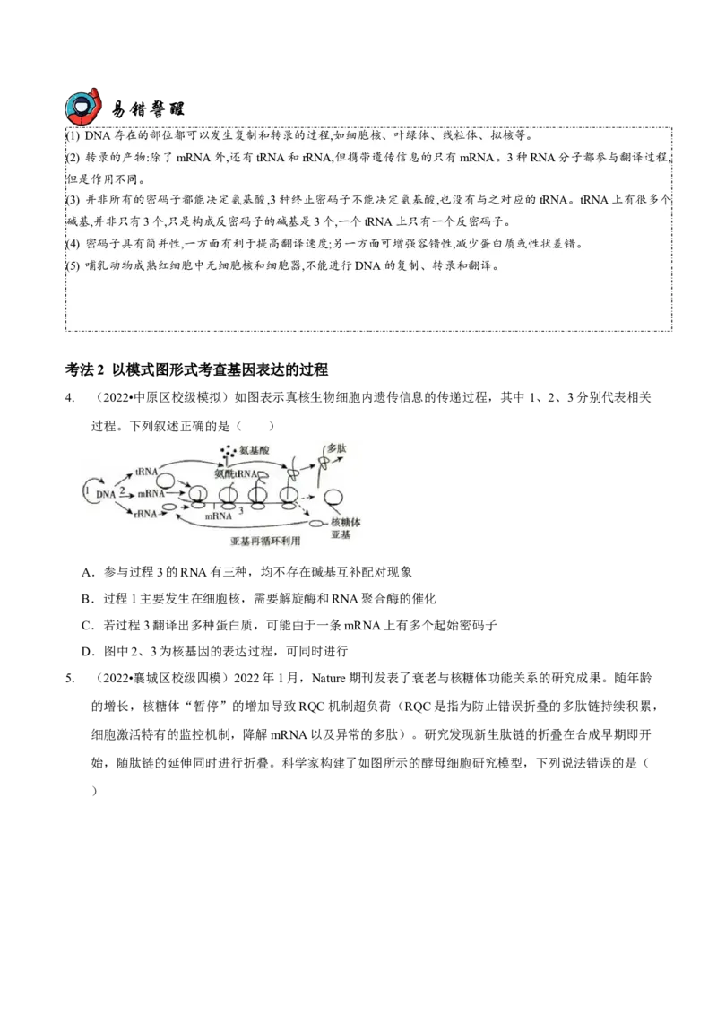 第6讲遗传的分子基础（讲练）-2023年高考生物二轮复习讲练测（新教材专用）（原卷版）_新高考复习资料_2023年新高考复习资料_二轮复习_2023年高考生物二轮复习讲练测（新教材专用）