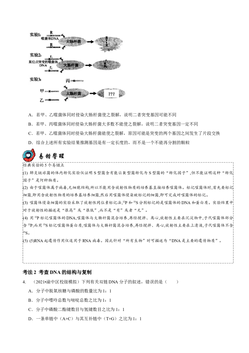 第6讲遗传的分子基础（讲练）-2023年高考生物二轮复习讲练测（新教材专用）（原卷版）_新高考复习资料_2023年新高考复习资料_二轮复习_2023年高考生物二轮复习讲练测（新教材专用）